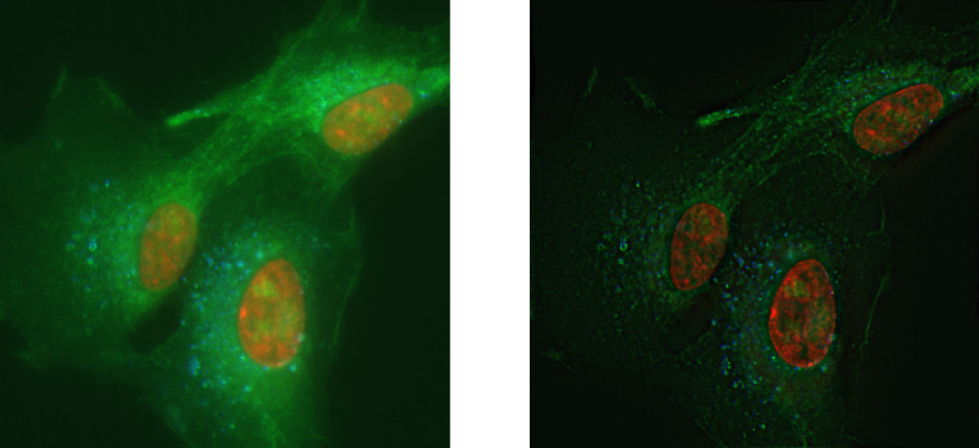 Deconvolution of multi color dataset